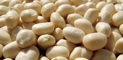  Blanched Peanuts