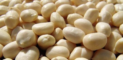 Blanched Peanuts