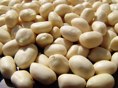 Blanched Peanuts